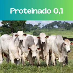 Imagem de capa para o Ebook Proteinado 0,1%