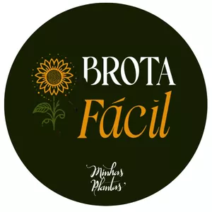 Imagem de capa para o Curso online Brota Fácil