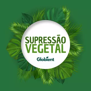 Imagem de Supressão vegetal criado por Cursos e e-book's na hotmart