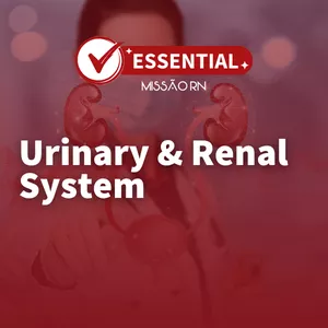 Imagem de capa para o Curso online Módulo 08- Urinary &amp; Renal System