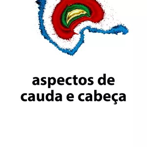 Imagem de capa para o Curso online aspectos cauda e cabeça de dragão