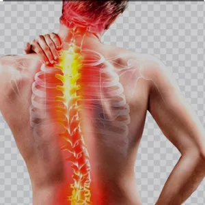 Imagem de capa para o Curso online Coluna Sem Dor (EM BREVE)