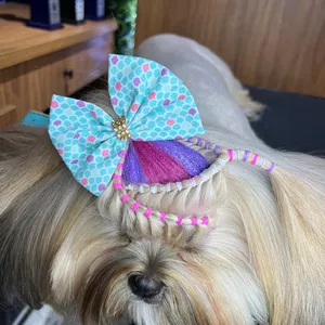 Imagem de capa para o Curso online Penteados PET