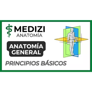 Imagen de portada para Ebook Anatomía General - Principios Básicos