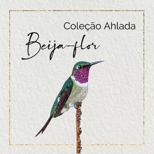 Imagem de capa para o Ebook RISCOS GUIADOS PARA BORDAR - Coleção AHlada - Beija-flor 