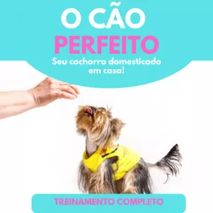 Imagem de capa para o Ebook O Cão Perfeito