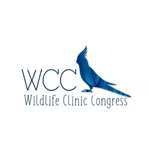 Imagem de capa para o Curso online V WCC - INSCRIÇÃO