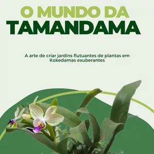 Imagem de capa para o Ebook O mundo da Tamandama