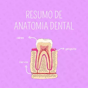 Imagem de capa para o Ebook Resumo Anatomia Dental