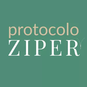 Imagem de capa para o Curso online Protocolo ZIPER
