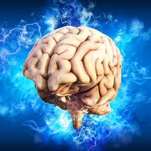 Imagem de capa para o Curso online A Neurociência da Educação em Sala de Aula