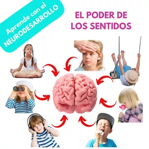 Imagen de portada para Curso online EL PODER DE LOS SENTIDOS Taller de neurodesarrollo 