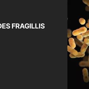 Imagen de portada para Ebook Resumen de Bacilos Microbiología 