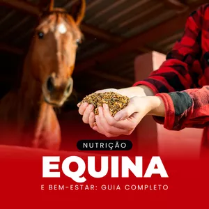 Imagem do curso Nutrição Equina e Bem-Estar: Guia Completo