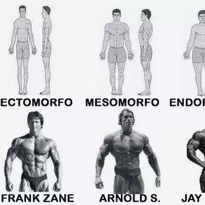 Imagem de capa para o Ebook Biotipos Corporais: Entenda  Seu Corpo e Potencialize Seus  Resultados