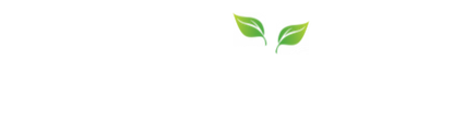 Zocademy logo