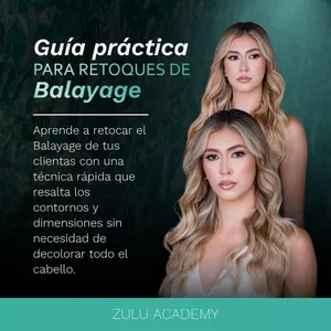 Imagen de portada para Curso online E-book Guía Práctica para Retoques de Balayage 