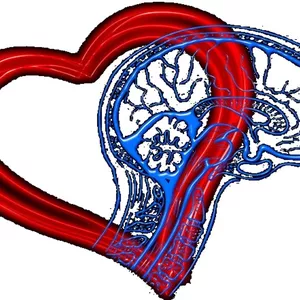 Imagem do curso Desenvolvendo Inteligência Emocional através do Autoconhecimento