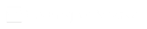 VideoVisionær - Vi ses bag linsen logo