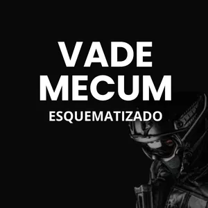 Imagem de capa para o Ebook VADE MECUM - LEIS ESQUEMATIZADAS