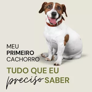 Imagem de capa para o Ebook Meu Primeiro Cachorro - Tudo Que Eu Preciso Saber