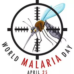 Imagem principal do produto Ciclo de la malaria. Aprende su microbiologia