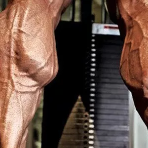 Imagem de capa para o Ebook PANTURRILHAS