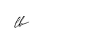 Lewa Brows LLC