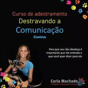 Imagem principal do produto Curso de Adestramento- Destravando a Comunicação com seu cão