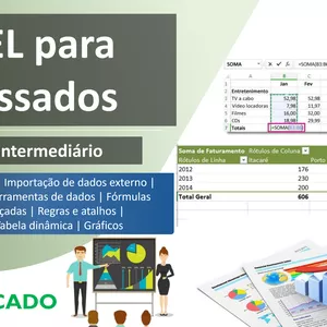 Imagem do curso FORMAÇÃO EM EXCEL - Básico e Intermediário (NEXA INTELLIGENCE)
