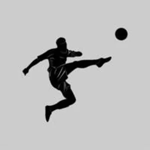 Imagen de portada para Curso online Socctotti