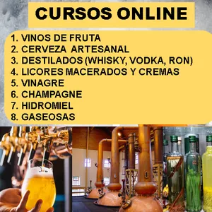 Imagen de portada para Ebook CURSOS ONLINE 2025