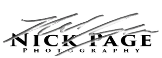Nick Page Premium Tutorials logo