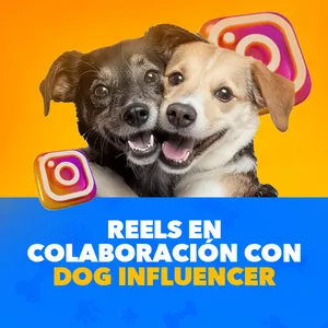 Imagen de portada para Ebook Paquete 4 Reels en Colaboración con Dog Influencer
