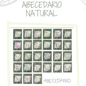 Imagen de portada para Curso online Abecedario narutal