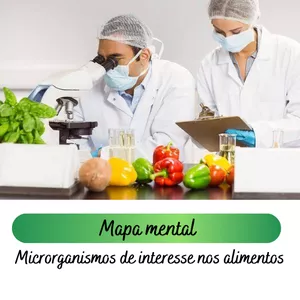 Imagem de capa para o Ebook MAPA MENTAL - MICRORGANISMOS DE INTERESSE NOS ALIMENTOS