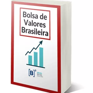 Imagem de capa para o Ebook Bolsa de Valores Brasileira 
