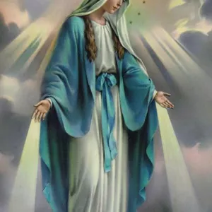 Imagem de capa para o Ebook Trinta dias de graças com a Virgem Maria. 