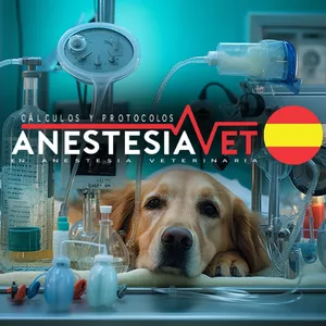 Imagen de portada para Curso online Cálculos y protocolos en anestesia Veterinario