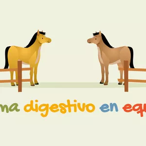 Imagen de portada para Ebook Sistema digestivo en equinos!