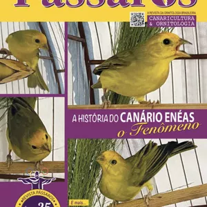 Imagem de capa para o Curso online Revista Pássaros 147 