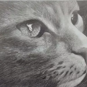 Imagem do curso Desenho preto e branco Realista feito a mão