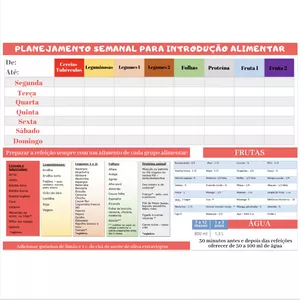 Imagem de capa para o Curso online Planner de Planejamento da Introdução Alimentar