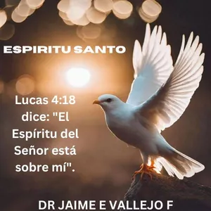 Imagen de portada para Ebook Espíritu Santo