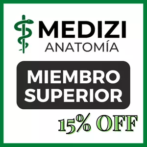 Imagen de portada para Ebook Miembro superior completo