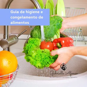 Imagem principal do produto Guia de higiene e congelamento dos alimentos 