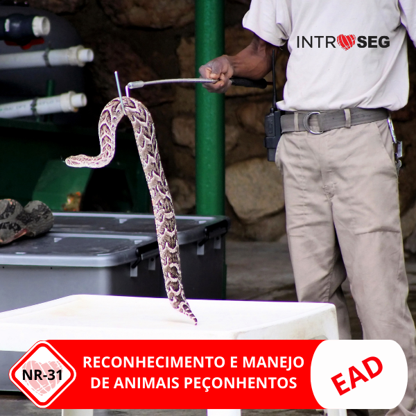 Imagem do curso Animais Peçonhentos - 08h - EAD - Reconhecimento e manejo