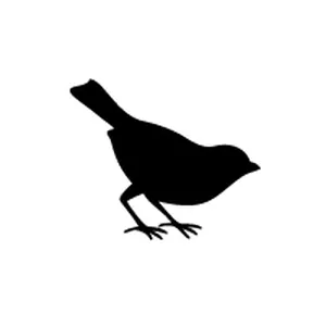 Imagem de capa para o Curso online El Canary Certified Security Foundations