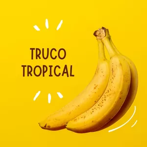 Imagen de portada para Curso online Truco Tropical