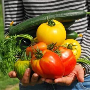 Imagen de portada para Curso online cultivo casero